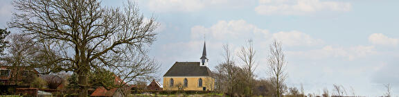 Dementie