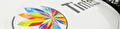 Tinten groep logo op auto