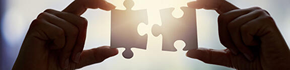 Puzzelstukjes